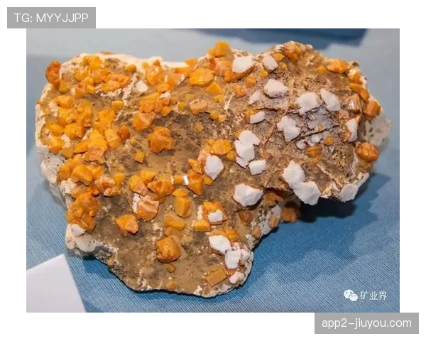 赞比亚高位压迫暴露防线隐患摩洛哥高效反击彰显战术智慧